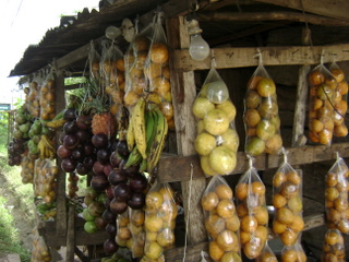 jamaican_photos_road_side_fruits