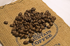 dried_blue_mountain_coffee