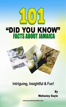 Did you Know Facts about Jamaica book