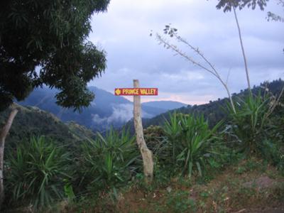 The Blue Mountains