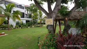 Can you smoke at resorts in Jamaica? Yes, you can! Most resorts have designated smoking areas to accommodate guests who would like to indulge.