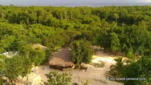 Purchasing your own land is a major accomplishment but the thought of paying property tax can be daunting. How much is property tax in Jamaica by the way?