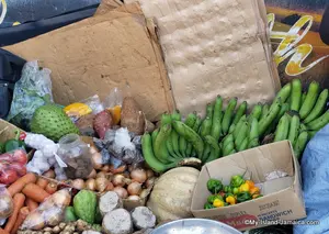 What are popular Jamaican ingredients? Explore the essential meats, vegetables, starches, and seasonings that makes Jamaican cuisine unique.