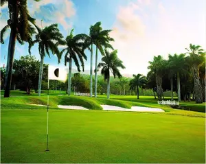 If you need a vacation with multiple trips to the golf course, then these Montego Bay golf courses, just moments away from the best resorts are perfect for you.