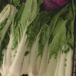 Leafy greens are a popular addition to a Jamaican breakfast. In fact, they are often the main event. One of our favourites though is the Jamaican Pok Choi.