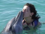 Dolphin Cove in Ocho Rios Jamaica