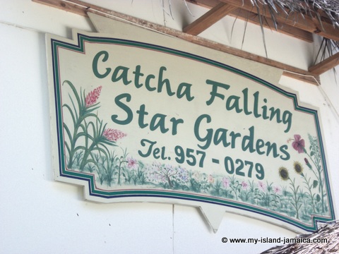 catcha falling star banner