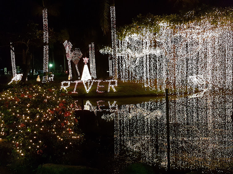 turtle river park at christmas