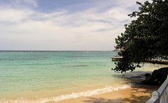 royal_plantation_jamaica_beach