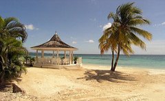 sandals_negril_jamaica_beach_coconut_trees