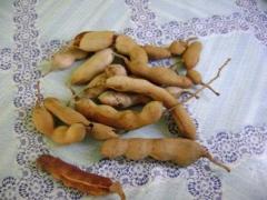 jamaican_tamarind