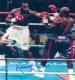 Boxer Lennox Lewis