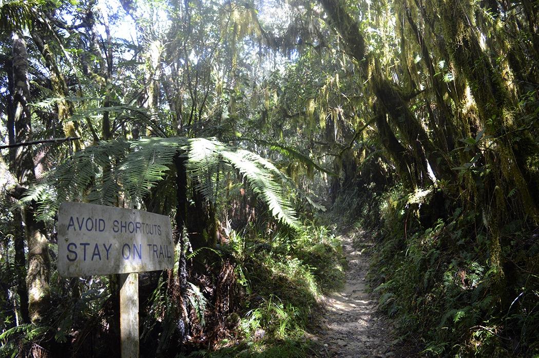 Blue and John Crow Mountain National Park