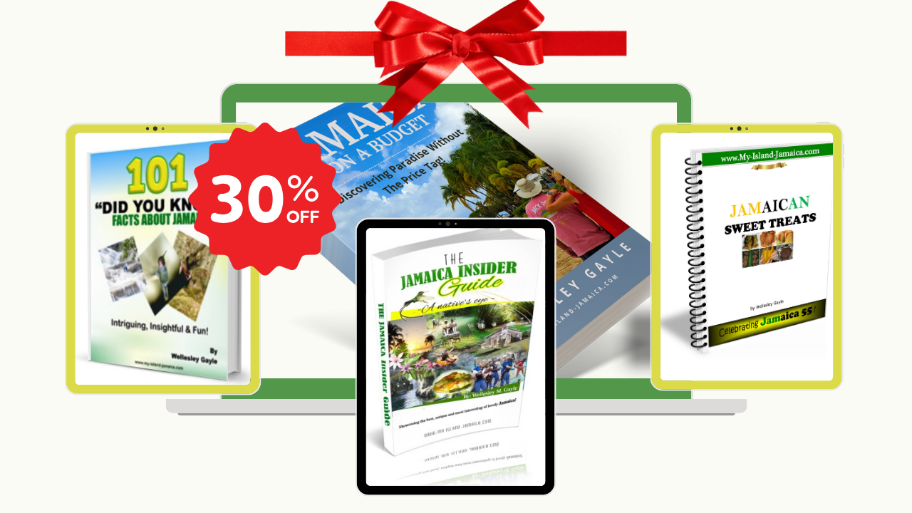 Jamaica On A Budget |How To Enjoy A Fun Low-Budget Vacation In Jamaica