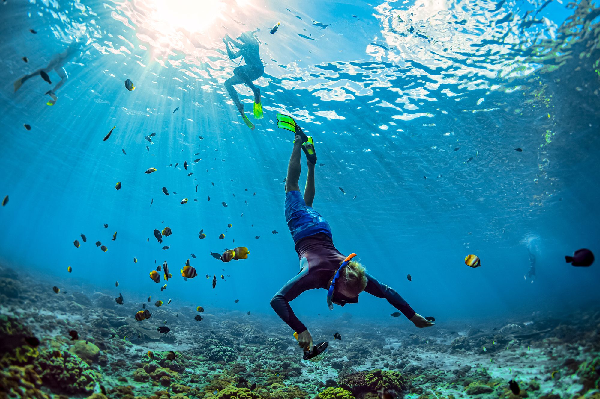 Snorkelling in Negril Jamaica The Top 8 Spots in Negril