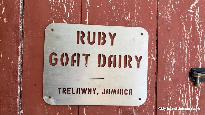 Ruby_Goat_Diary