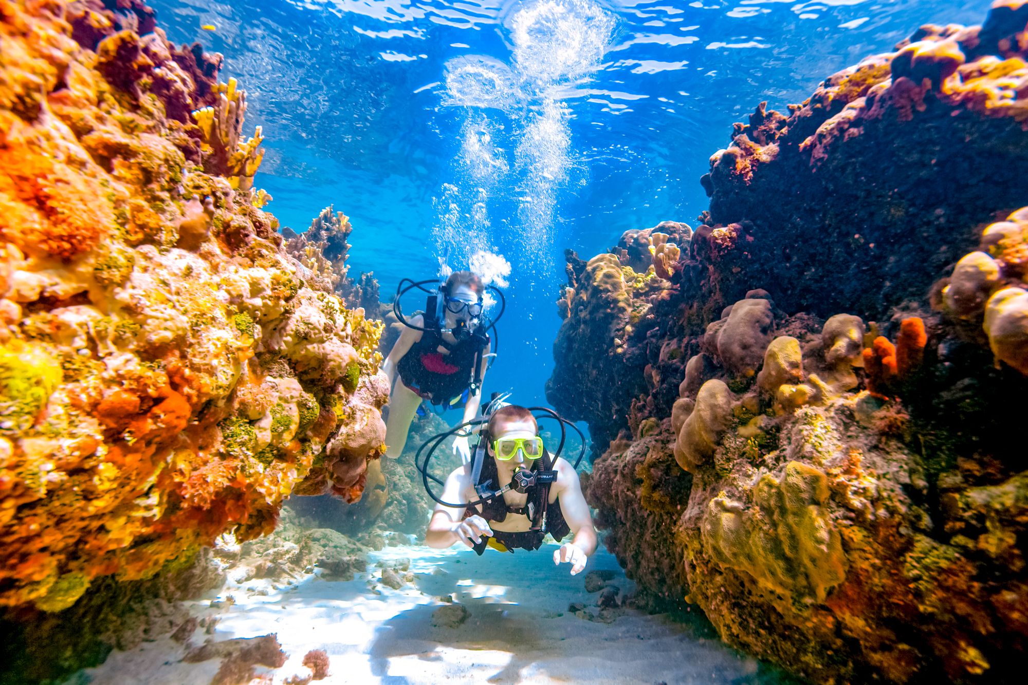 Scuba diving at sandals