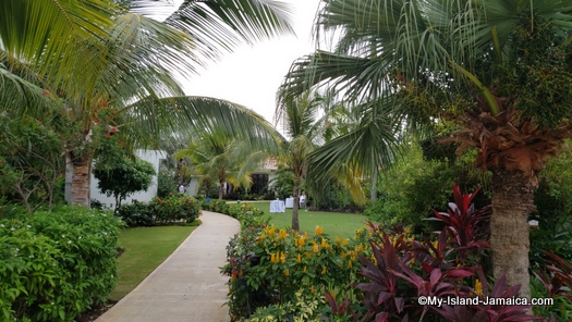 Sandals_MontegoBay_flora1