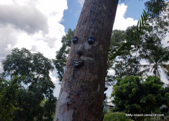 activities_in_montego_bay_jamaica_ahhh_ras_natango_art_gallery_face_on_tree