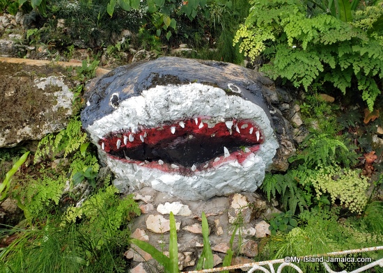 activities_in_montego_bay_jamaica_ahhh_ras_natango_art_gallery_shark