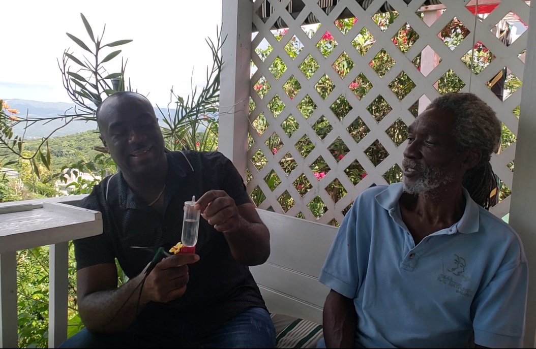 ahhh_ras_natango_doctor_bird_feeding