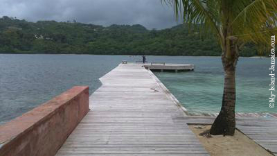 Alligator Head, Portland Jamaica