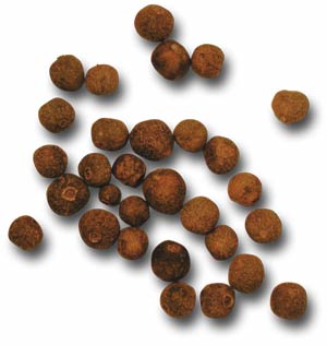 allspice_berries