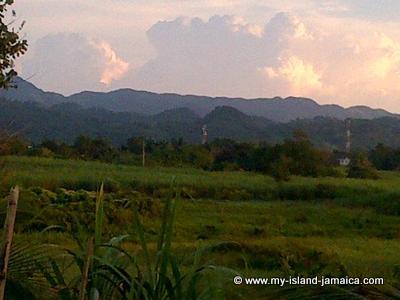 Jamaican Landscape