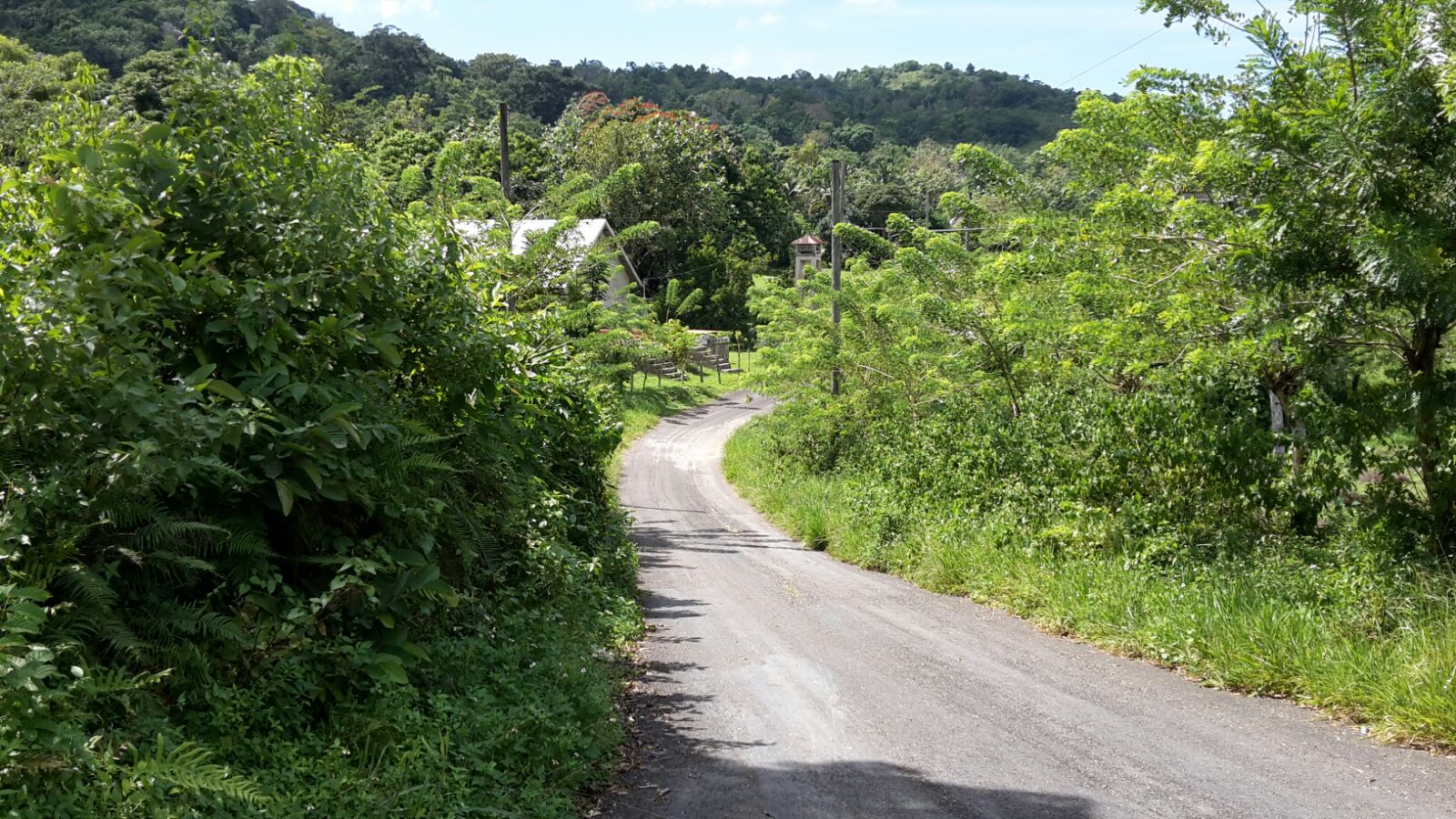barneyside barneyside jamaica