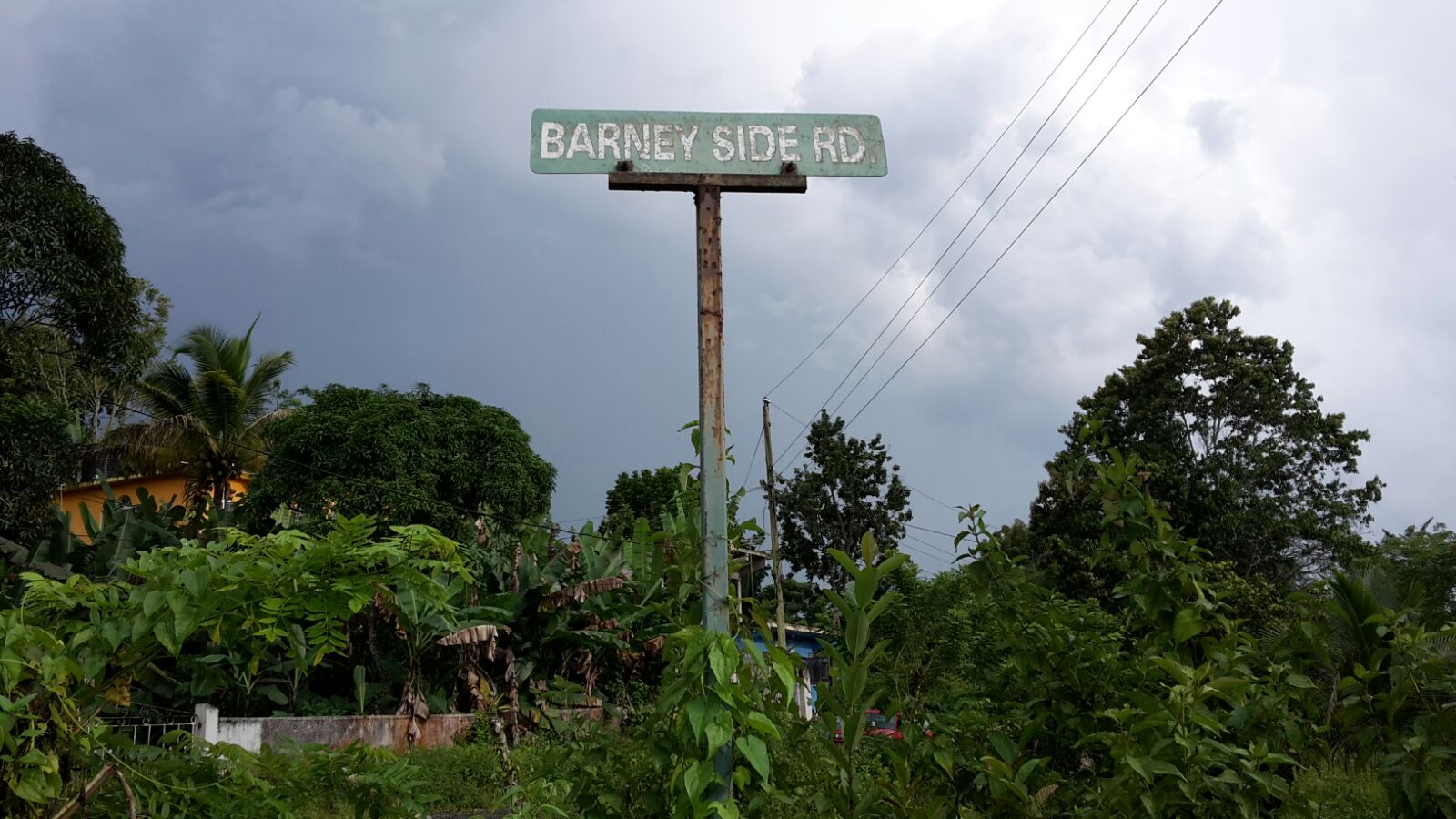 barneyside barneyside jamaica