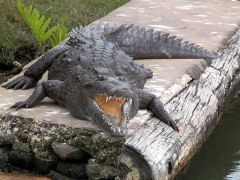 barrett_adventures_black_river_safar