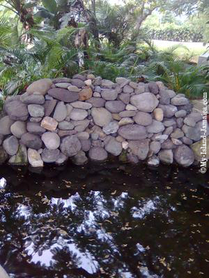 Hope Gardens Jamaica