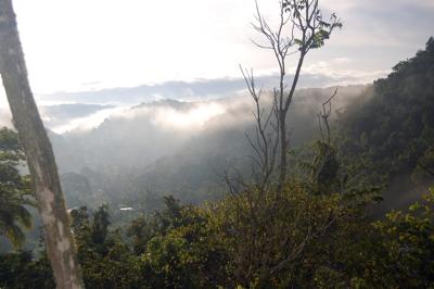 Rural Scenery in Jamaica