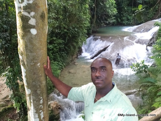 benta_falls_jamaica_review_by_wellesley.jpg