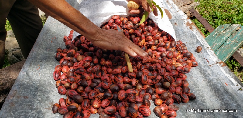 best_jamaican_nutmegs