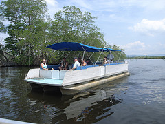 black_river_jamaica_boat_ride