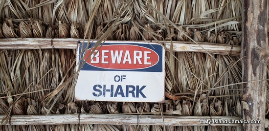 calico_jacks_pirate_shack_negril_beware_of_shark