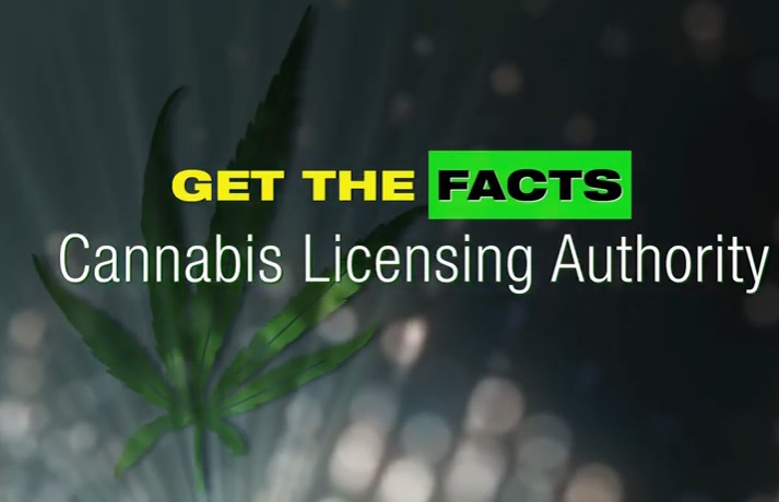 cannabis_licensing_authority_facts