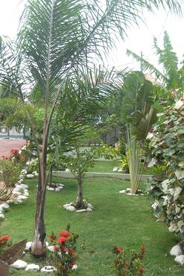 Castle Point Villa Retreat Garden