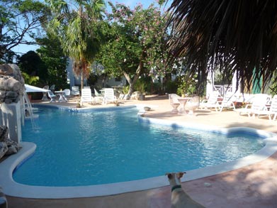 catcha_falling_star_gardens_pool