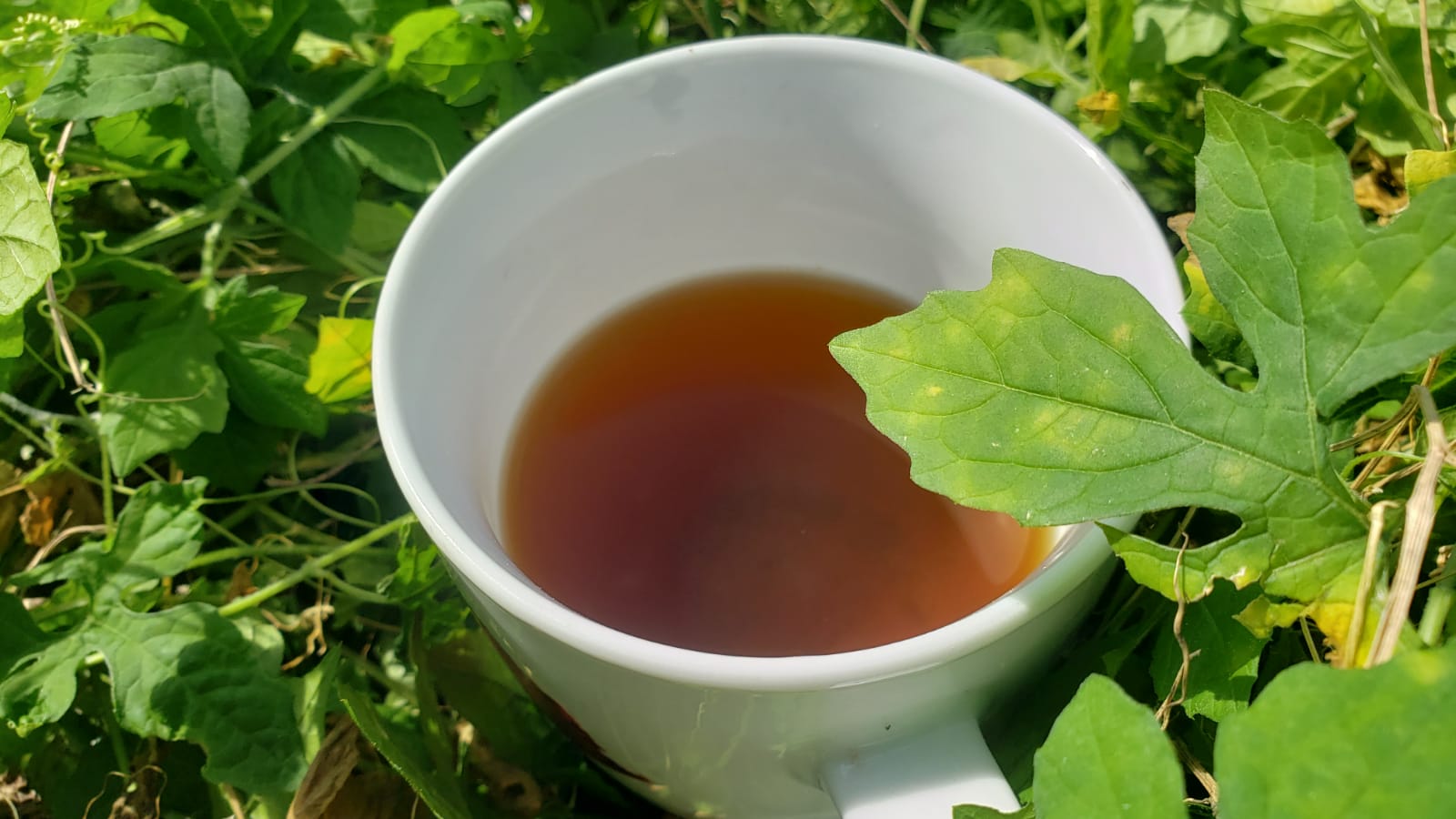 Jamaican Bush Teas Oldie, But Still Goodie!