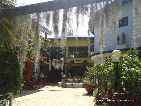 idlers rest back river old man beard entrance