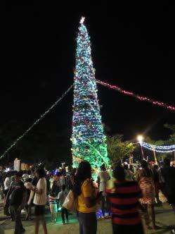Christmas Tree Lighting Montego Bay