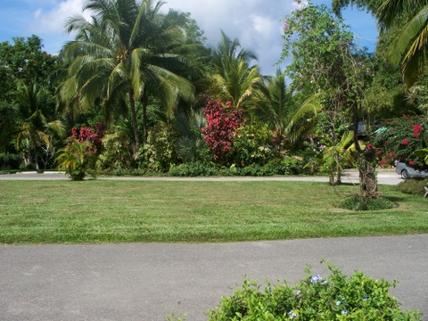 chukka_adventure_tours_lawn.jpg