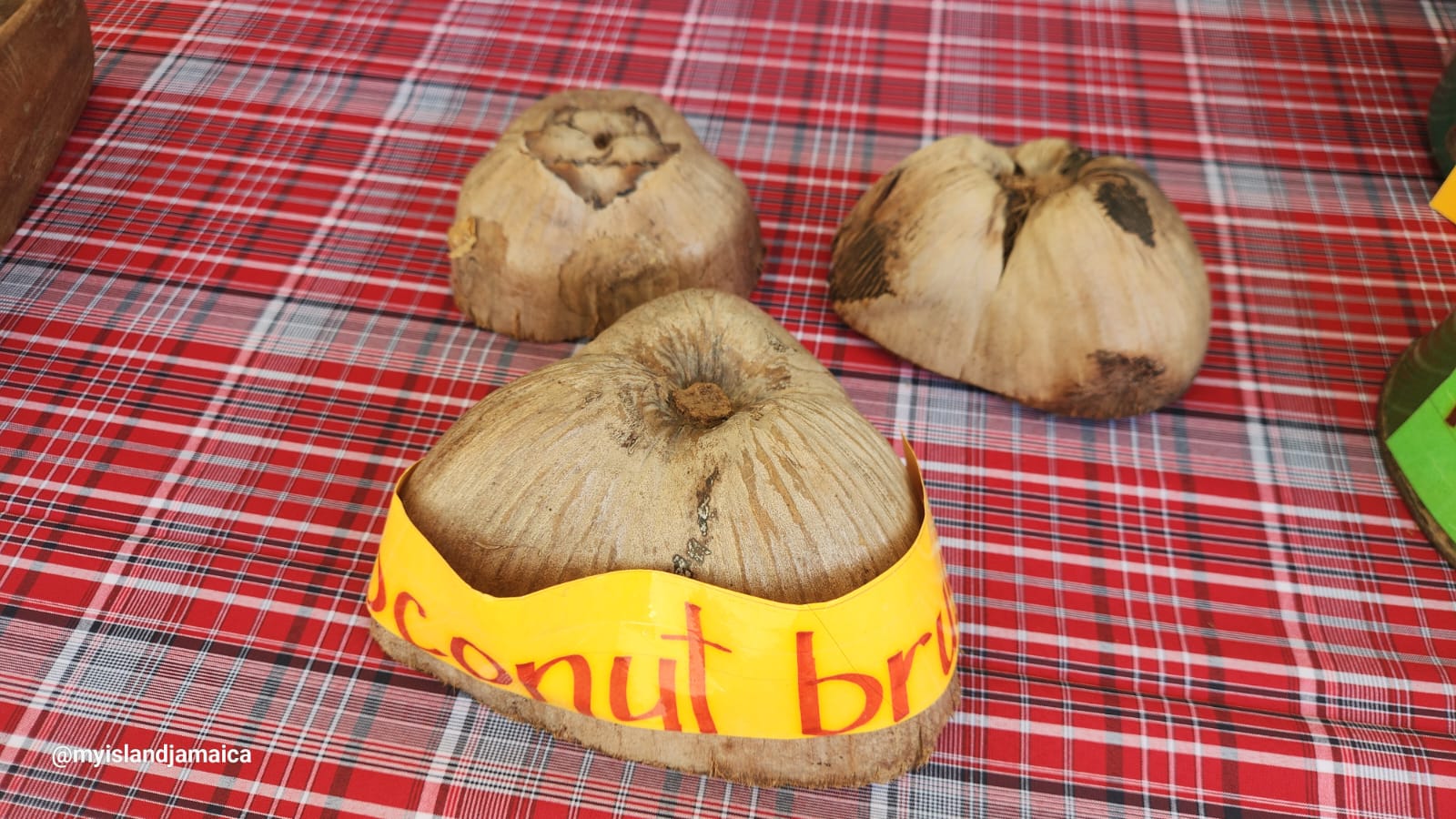 coconut_brush_heritage_day_jamaica