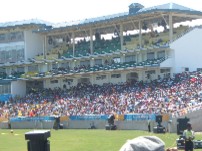The Stands