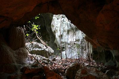 green_grotto_caves_jamaica_rocks