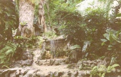 Jamaica, Montego Bay, just another beautiful view. It is Simply the Best!