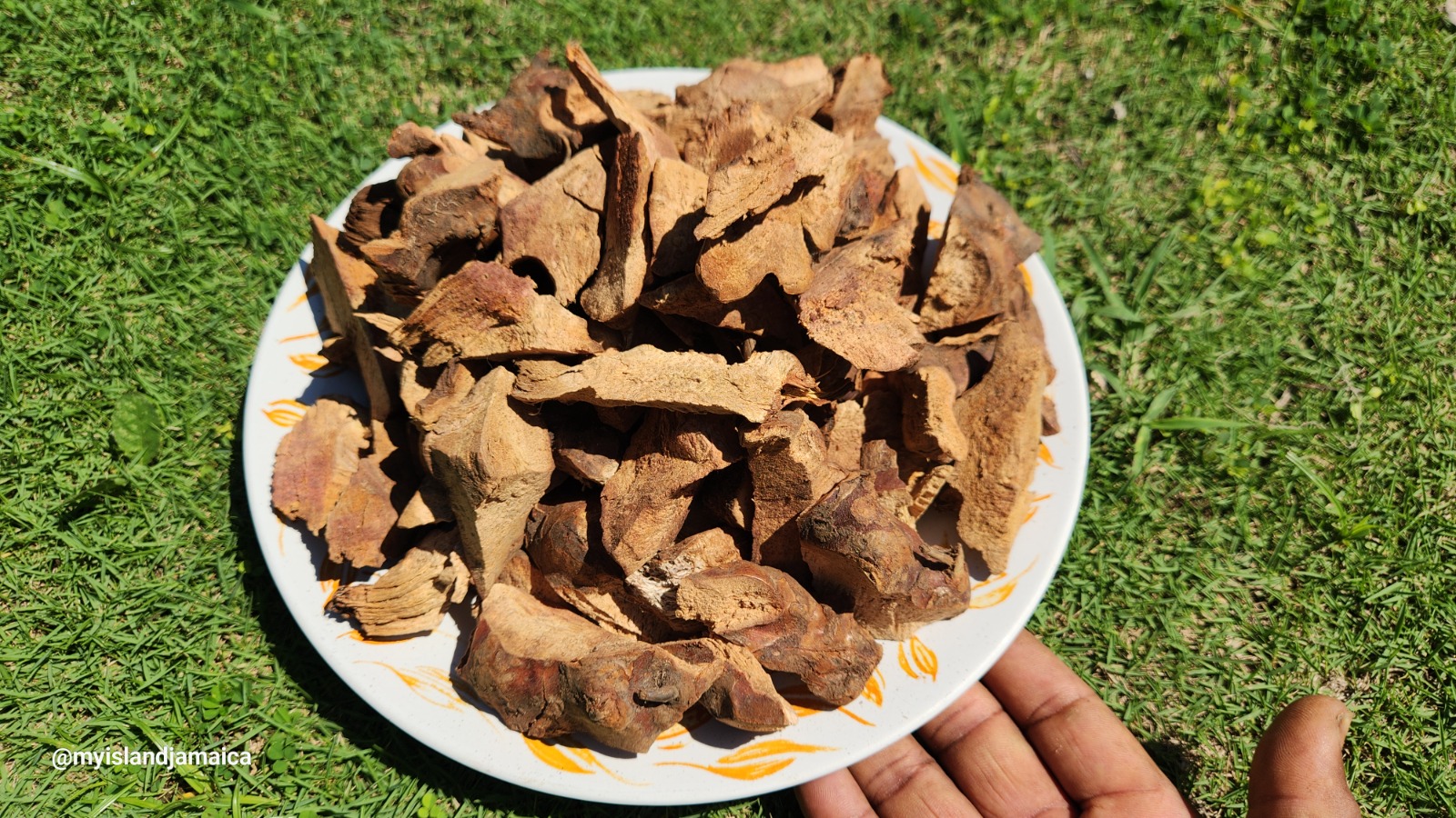 dried_cut_chaney_root_jamaica