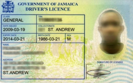 Jamaican Drivers Licence
